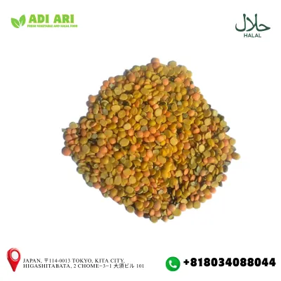 Padma Mas Dal Broken / パドママスダールブロークン / পদ্মা মাসুর ডাল ভাঙা