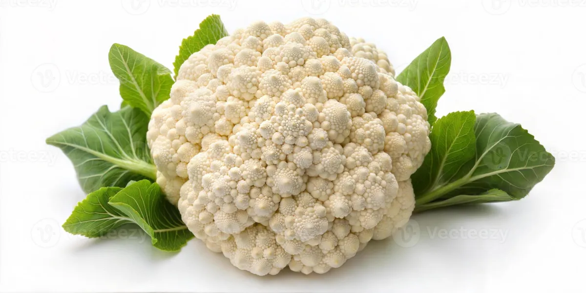 Kariflower / カリフラワー / ফুলকপি